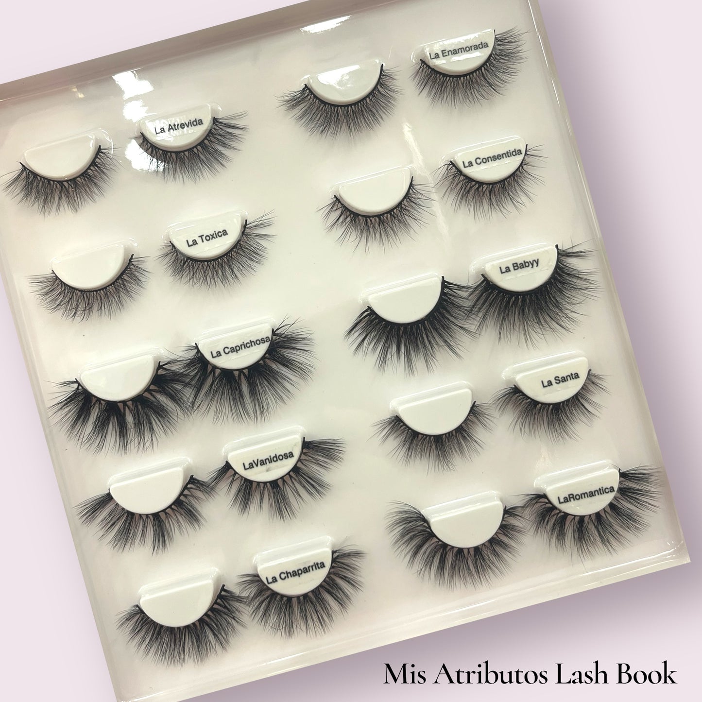 Lash Books / 10 Sets - 2 styles