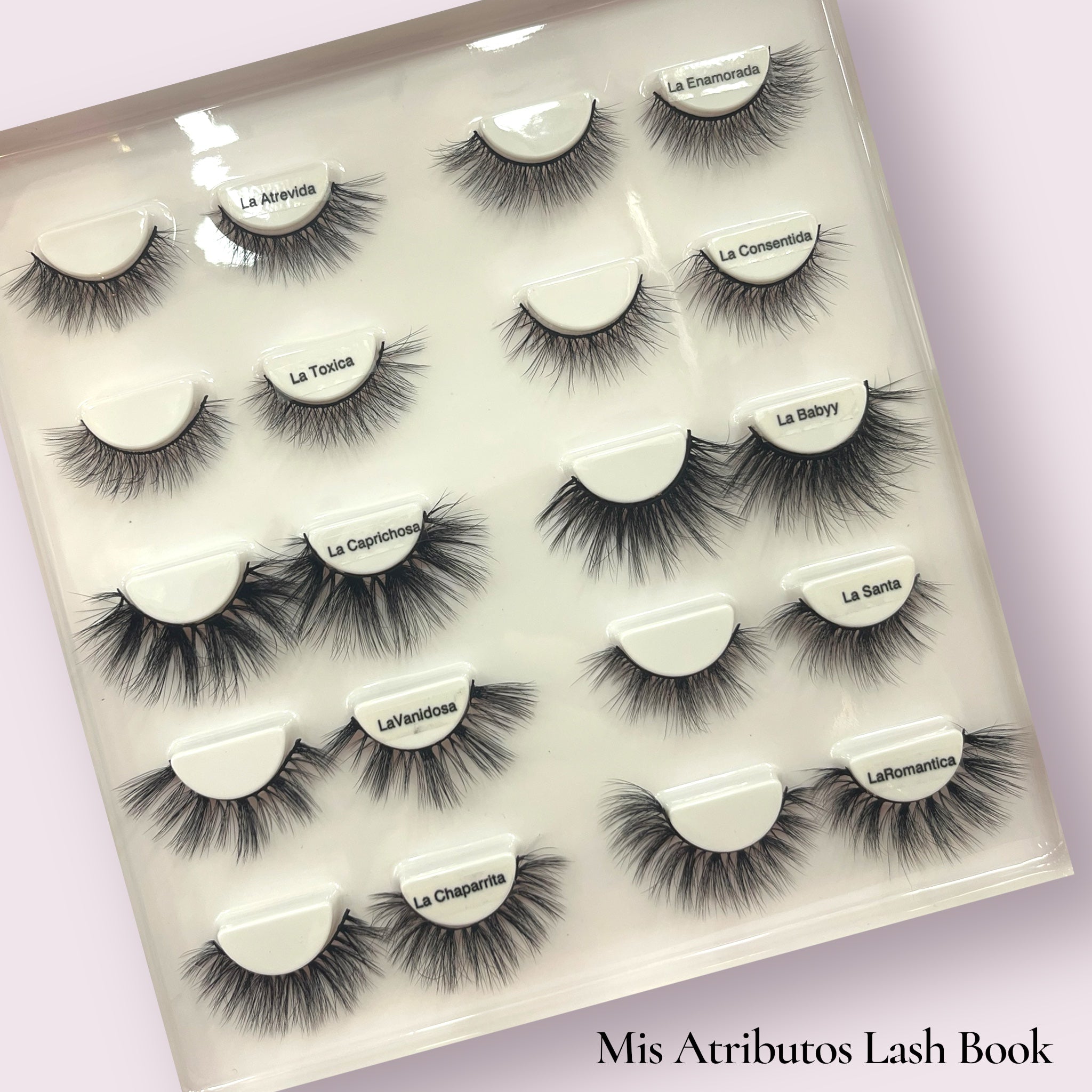 Lash Books / 10 Sets -                    2 styles